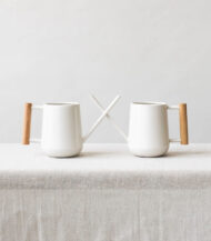 Pilea Peperomioides - imagine 5