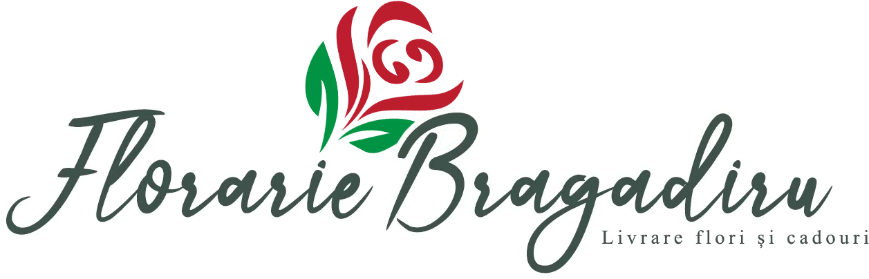 Logo „Florarie Bragadiru” cu floare roșie și verde și textul „Livrare flori și cadouri”.