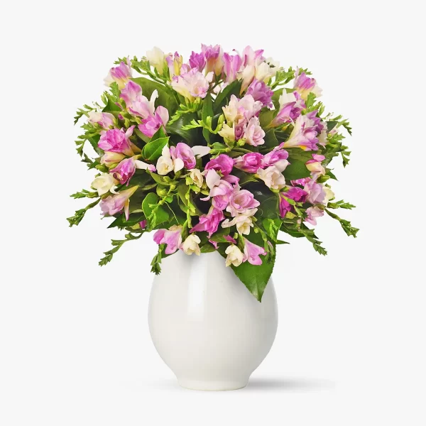 Buchet de 31 frezii roz elegante, florile proaspete și parfumate, ideale pentru orice ocazie specială.