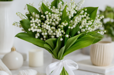 buchete de lacramioare - Întrebări frecvente despre buchete de lacramioare - Florarie Online Bragadiru | Livrare Flori Bucuresti